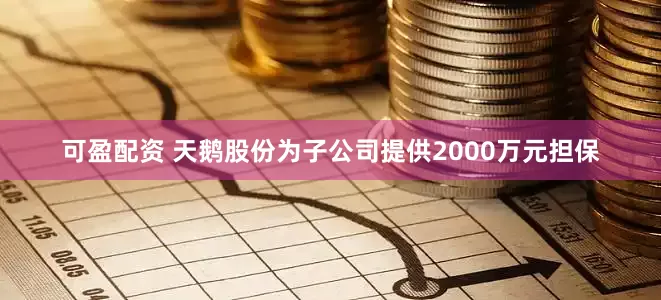 可盈配资 天鹅股份为子公司提供2000万元担保