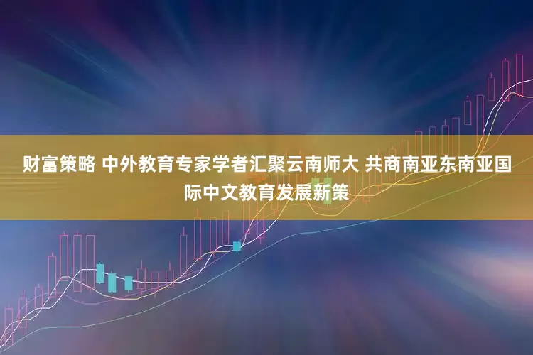 财富策略 中外教育专家学者汇聚云南师大 共商南亚东南亚国际中文教育发展新策
